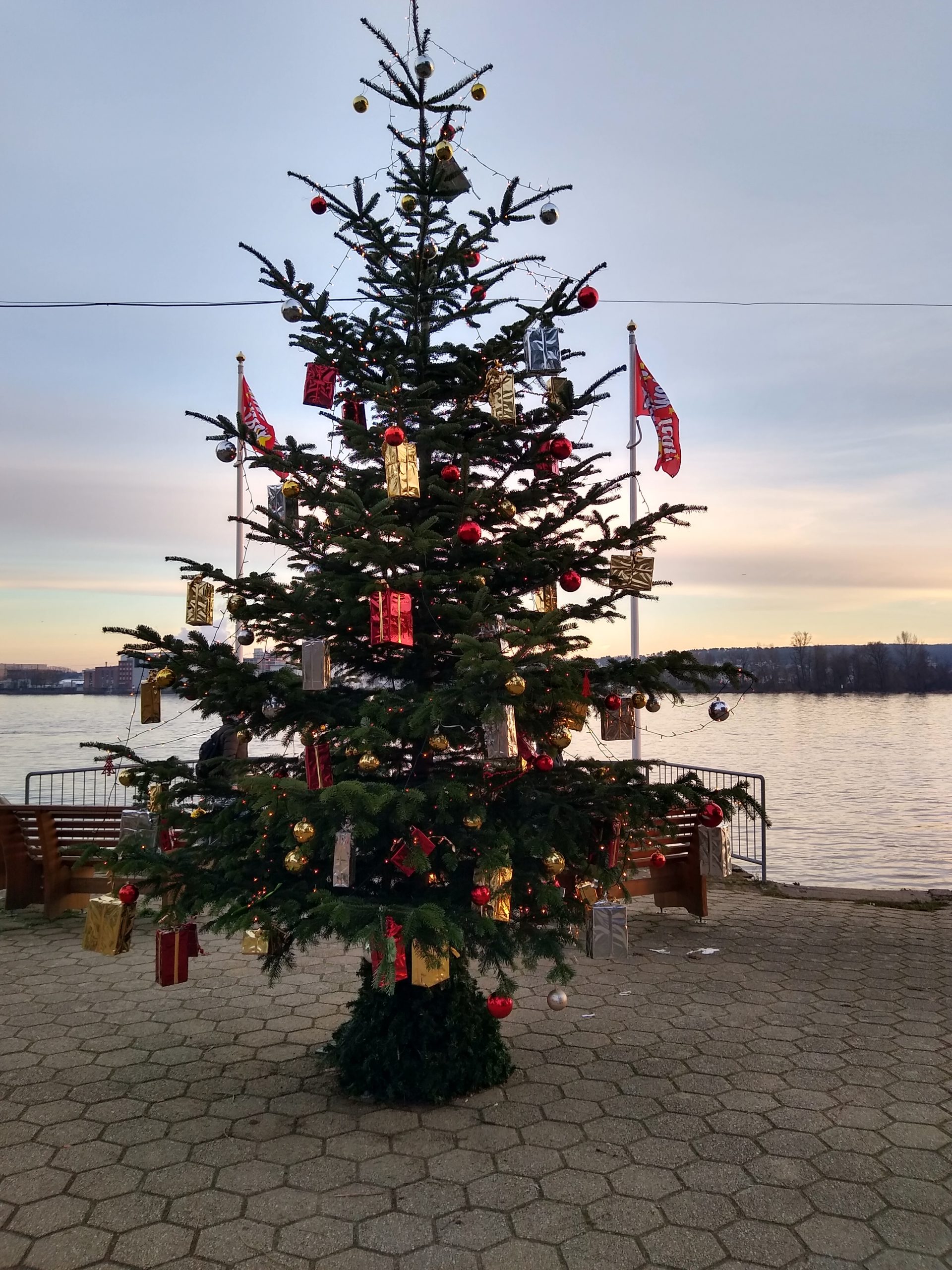 Weihnachtsbaum