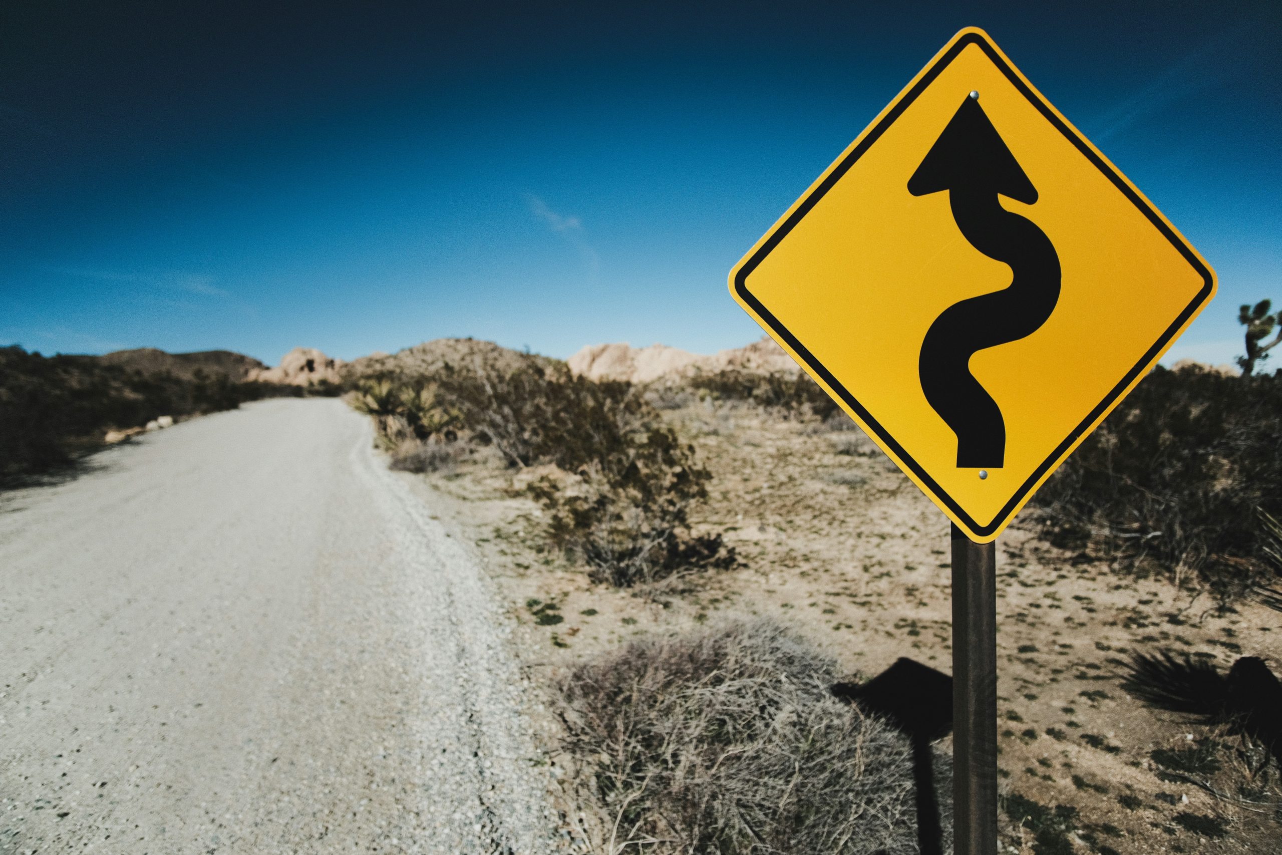 curvy road sign