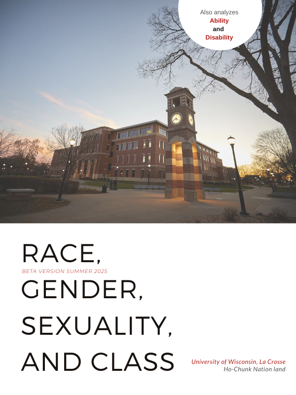 Cover image for Introduction to Race, Gender, Sexuality, and Class