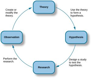 Cycle diagram showing the scientific process: theory leads to hypothesis, hypothesis guides research, research leads to observation, and observations refine the theory.