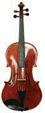 A picture of a viola.