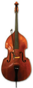 A picture of a double bass.