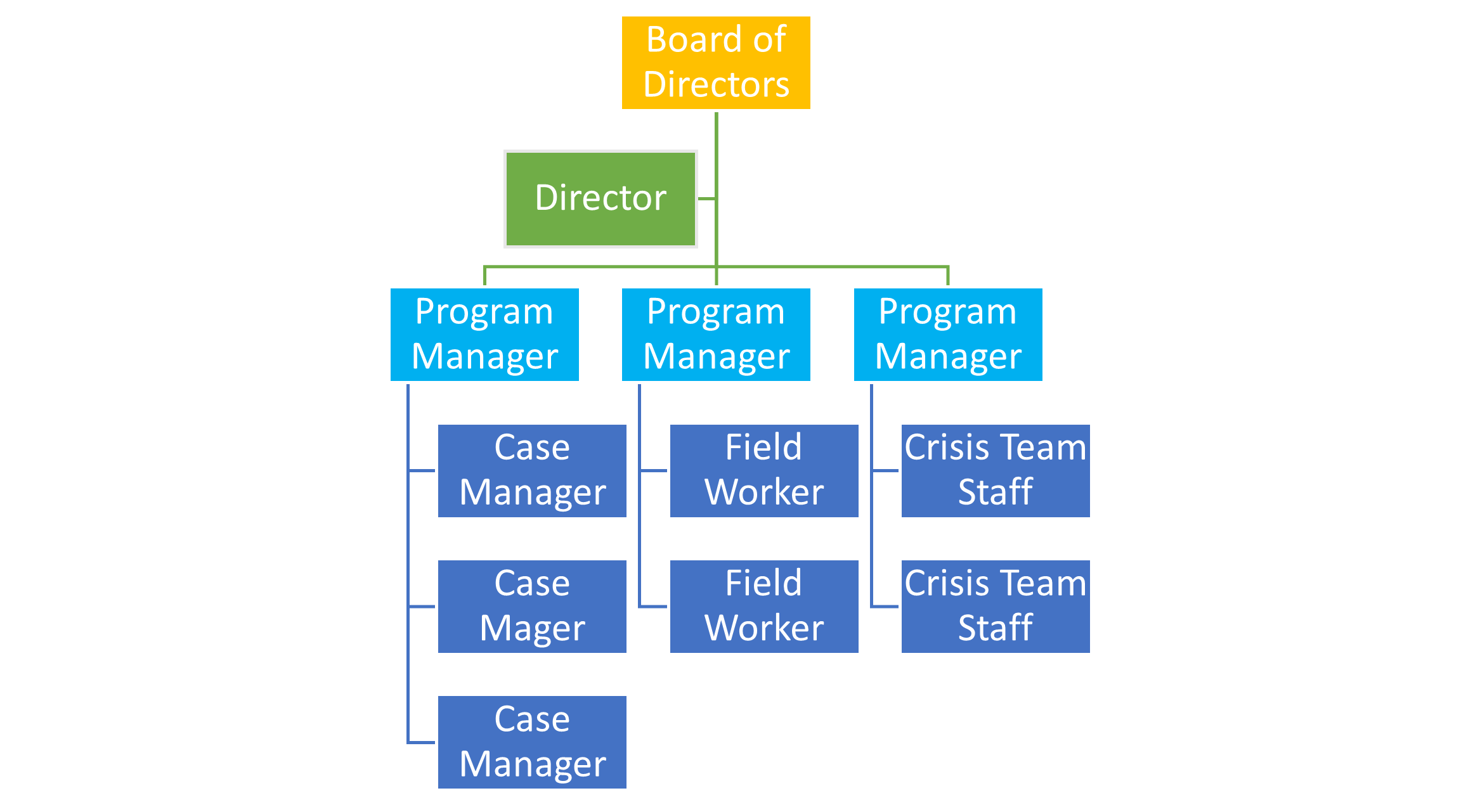 Hierarchical structure with multicolored filled boxes surrounded by thin black lines with white text. Starting from the top, box labeled Board Members with one arrow pointing down toward box labeled Director. Director box connected with thin black arrows to three boxes labeled Program Manager. One Program Manager box has two thin black arrows pointing down connected to two boxes labeled Case Manager. The second Program Manager has two thin black arrows pointing down to two boxes labeled Field Worker. The last Program Manager box has two thin black arrows pointing down to two boxes labeled Crisis Team Staff.