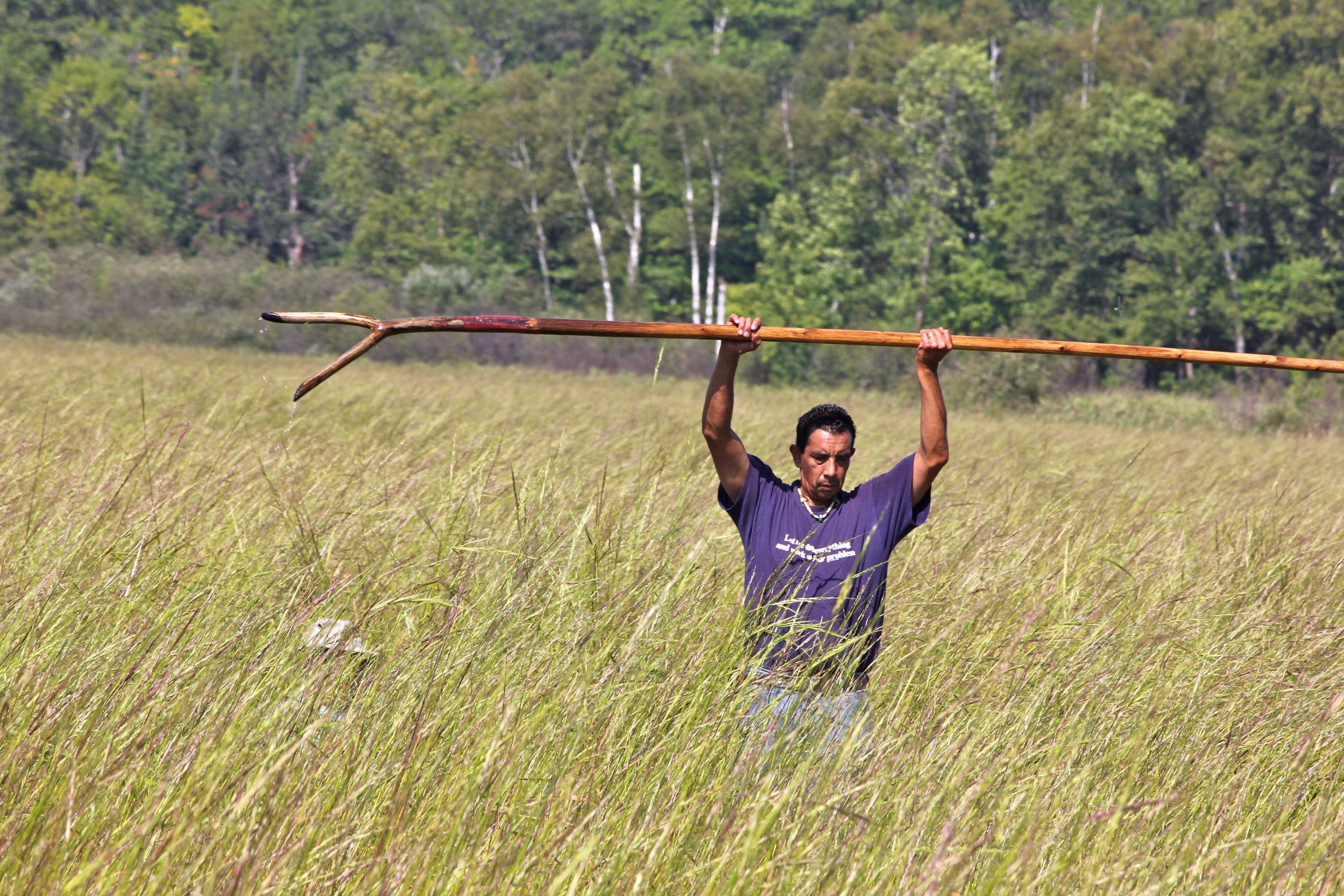 Photo of man holding ricing pole above his head while ricing on lake.