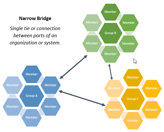 Graphic of three different groups of colorful hexagons. In white space above the infographic black text reads Narrow Bridge: Single tie or connection between parts of an organization or system. Three colorful groups of one hexagon in the middle surrounded by six hexagons. On the left side, one blue hexagon with white text Group A surrounded by six blue hexagons all labeled Member in white text. To the upper right to one one green hexagon labeled Group B in white text surrounded by six green hexagons all labeled members in white. To the lower right of this group, another group of yellow hexagons with white text. One hexagon in the middle labeled Group C surrounded by six hexagons all labeled Member. A double sided black arrow going from a blue Member hexagon to a green hexagon labeled Member to the upper right. A different green hexagon labeled Member has another thin black double sided arrow to yellow hexagon labeled member to the lower right. A different yellow hexagon labeled Member has another thin black double sided arrow to another blue hexagon labeled member to the upper left.