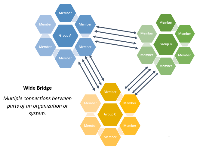 Graphic of three different groups of colorful hexagons. In white space to the left of the infographic black text reads Wide Bridge: multiple connections between parts of an organization or system. Three colorful groups of one hexagon in the middle surrounded by six hexagons. Above the title, one blue hexagon with white text Group A surrounded by six blue hexagons all labeled Member in white text. To the lower right of the blue hexagons, a group of green hexagons with one green hexagon labeled Group B in white text surrounded by six green hexagons all labeled Members in white. To the lower left of this group, another group of yellow hexagons with white text. One hexagon in the middle labeled Group C surrounded by six hexagons all labeled Member. Four double sided black arrows going to and from each group of hexagons for a total of twelve double sided arrows to represent multiple connections.