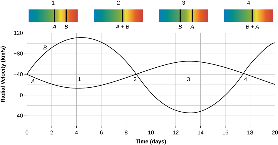 Radial Velocities in a Spectroscopic Binary System. The upper portion of this figure has four binary star spectra, each with blue wavelengths on the left and red wavelengths on the right. Spectrum 1 at left has two spectral lines, one from each star. The line for star A is near the center and that for star B is toward the right. In spectrum 2, both lines merge into one and is labeled “A + B”. In spectrum 3 the line for star B is near the center and that of star A is on the right. Finally, in spectrum 4, the lines have again merged near the center and labeled “B + A”. The bottom portion shows a graph of measured radial velocities vs. time. The vertical axis is labeled “Radial Velocity (km/s)”, in 40 km/s increments. The horizontal axis is labeled “Time (days)”, in 2 day increments. Curves are plotted corresponding to the motion of stars A and B that are shown in the spectra above the plot. Both curves begin at day zero on the left at +40 km/s. At day 4, corresponding to spectrum 1, star A has a velocity of +15 km/s and B +110 km/s. At day 9 for spectrum 2, both stars are at +40 km/s. At day 13 (spectrum 3) star A is near +65 km/s and star B near -30 km/s. Finally, near day 17 (spectrum 4), both stars are again at +40 km/s.