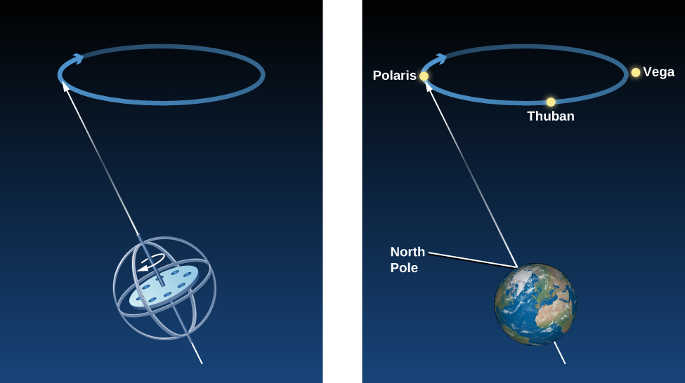 The concept of precession. The left hand panel in this illustration shows a spinning top, with a circular arrow drawn counterclockwise around the axis of spin. Another arrow is shown pointing upward through the axis of spin and makes contact with a blue circular arrow drawn at the top of the figure. The blue circular arrow points clockwise and represents the path the spin axis traces as the top rotates. The right hand panel illustrates this situation as it applies to Earth. An arrow is drawn upward through the spin axis of the Earth emerging from the surface at the north pole, and points to the star Polaris. Polaris lies on a blue circular arrow that points clockwise. Also drawn on the blue circular arrow are the stars Thuban and Vega. The blue circular arrow represents the path the north celestial pole travels over time as Earth spins on its axis.