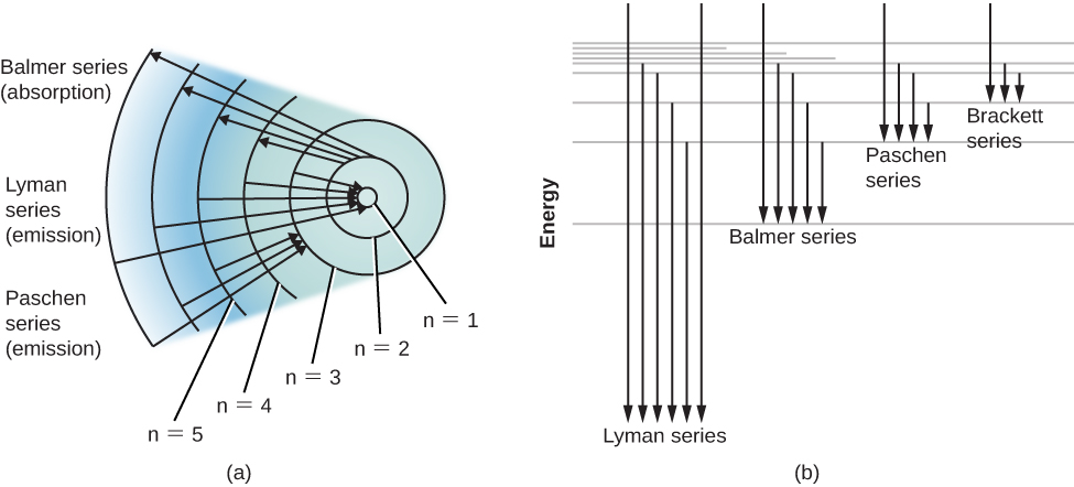 Energy-Level Diagram for Hydrogen and the Bohr Model for Hydrogen. The right hand side (a) of the figure shows the Bohr model with the Lyman, Balmer, and Paschen series illustrated. A small circle representing the nucleus is enclosed by a larger circle for orbit n=1, then another larger circle for n=2 and so on up to n=5. At the top of this diagram are 4 arrows starting at n=2, with one arrow going up to n=3, one to n=4 and one to n=5. As these arrows are moving away from the nucleus, they represent absorption of energy by the atom to move an electron up to each level. Next is the Lyman series, with arrows from each upper orbital pointing down to n=1. As these arrows are pointing toward the nucleus, energy is released from the atom as electrons “fall” from upper levels down to n=1. Finally, there is the Paschen series, with arrows from the upper levels all pointing down to n=3. Again, as these arrows point toward the nucleus, light is emitted as the electron moves closer to the nucleus. The left hand side (b) of the figure shows the movement of electrons from higher to lower energy levels, represented with arrows pointing downward. From left to right, Lyman series has the longest arrows, then Balmer series with arrows about half as long, then Paschen series with arrows about a fourth as long, then Bracket series with arrows about an eighth as long.