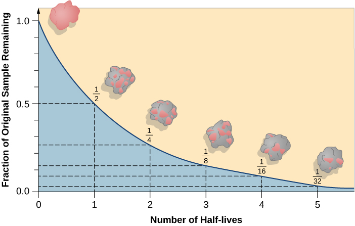 Graph Illustrating the Concept of Radioactive Decay. The vertical scale is labeled “Fraction of Original Sample Remaining”, and increases from 0 to 1.0 in increments of 0.1. The horizontal scale is labeled “Number of Half-lives”, and increases to the right from 0 to 5 in increments of 1. A curve is drawn from (0, 1.0) at upper left down to (5, 0) at lower right. A dashed line is drawn vertically upward from 1 to intersect the curve at 0.5 on the vertical scale. At this point on the curve 1/2 of the original material remains. Next, another dashed line is drawn vertically upward from 2 to intersect the curve at 0.25, where 1/4 of the original sample remains. Another dashed line is drawn upward from 3 to intersect the curve at 0.125, where 1/8 of the sample remains. Again, a dashed line is drawn upward from 4 to intersect the curve at 0.06, where 1/16 of the sample remains. Finally, the dashed line from 5 intersects the curve at 0.03, where 1/32 of the original sample remains. Above the curve are drawn six “blobs” of material, one for each data point. The blob is pink at the top of the curve representing the full radioactive sample. The blob at (1, 0.5) is about 1/2 pink and 1/2 grey representing the fact that 1/2 of the original sample remains. This illustration continues for the remaining data points so that by (5, 0.03) the blob is nearly all grey indicating that only 1/32 of the original sample remains.